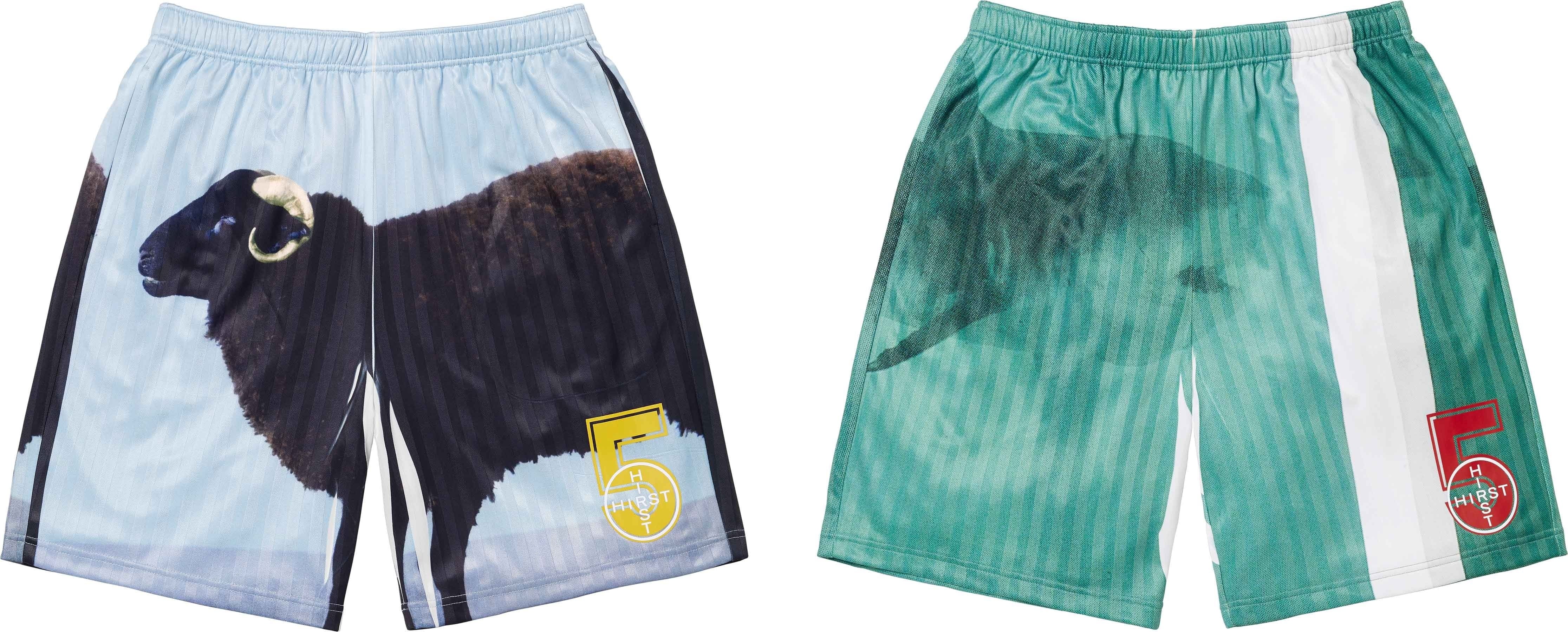 Supreme/Damien Hirst Soccer Short view 5